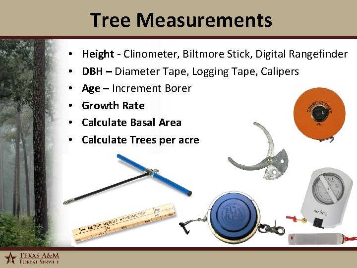 Tree Measurements • • • 1/6/2022 Height - Clinometer, Biltmore Stick, Digital Rangefinder DBH