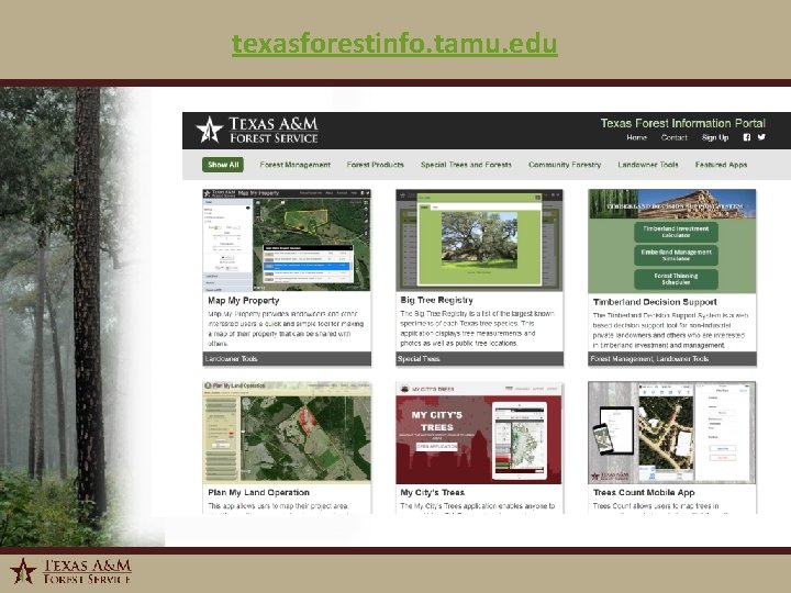 texasforestinfo. tamu. edu 1/6/2022 2 