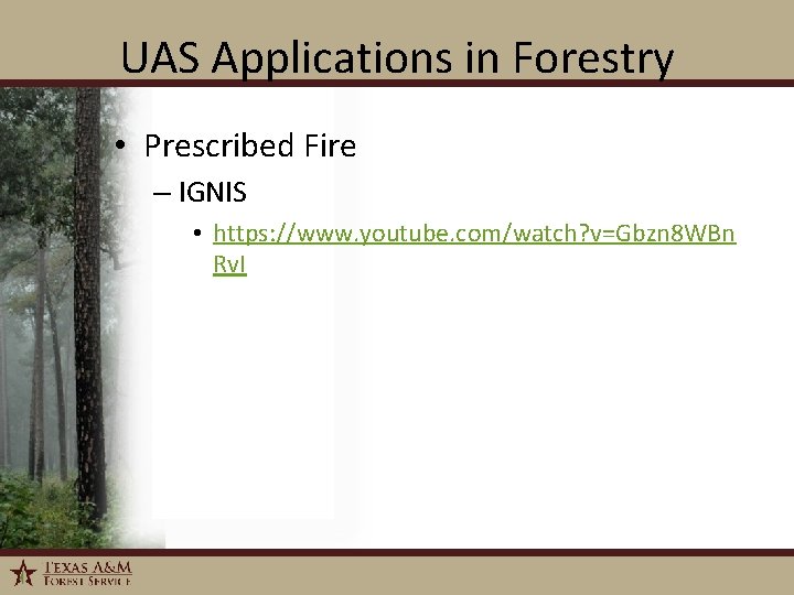 UAS Applications in Forestry • Prescribed Fire – IGNIS • https: //www. youtube. com/watch?