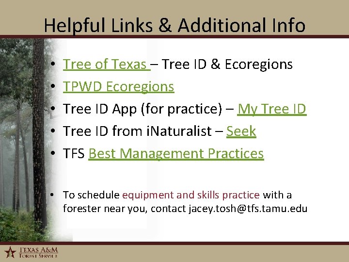 Helpful Links & Additional Info • • • Tree of Texas – Tree ID