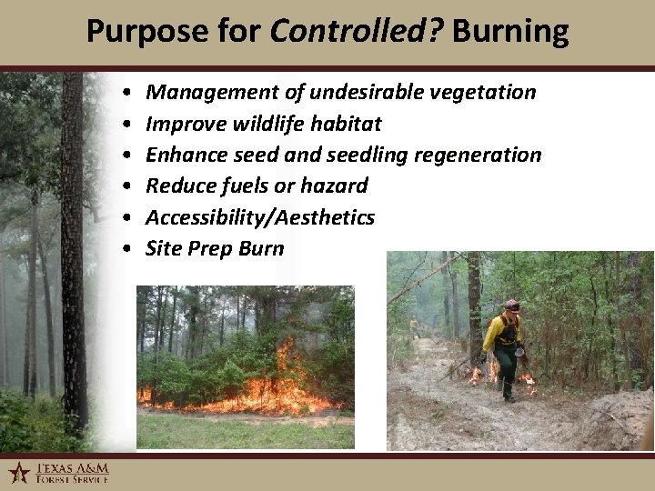 Purpose for Controlled? Burning • • • 1/6/2022 Management of undesirable vegetation Improve wildlife