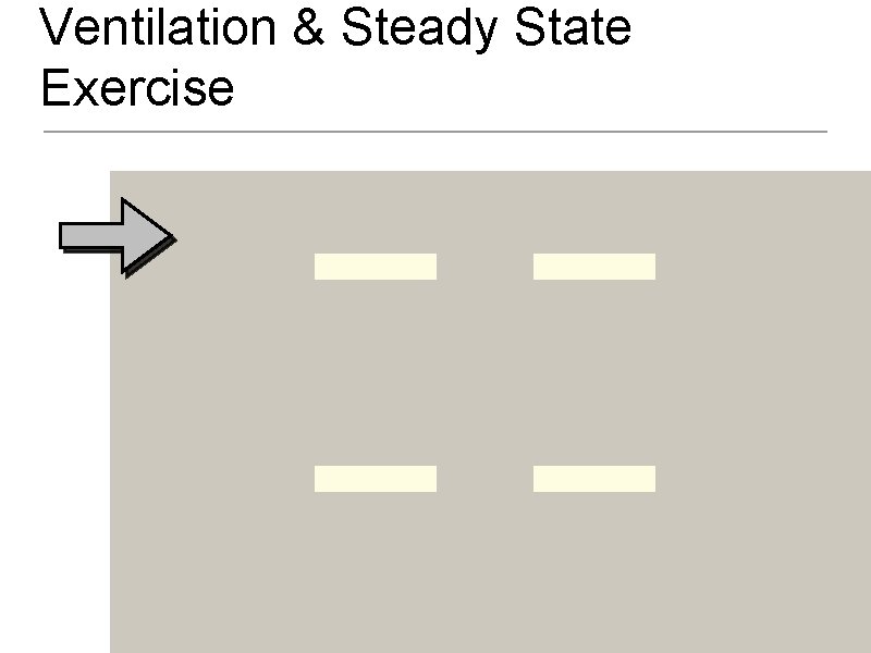 Ventilation & Steady State Exercise 