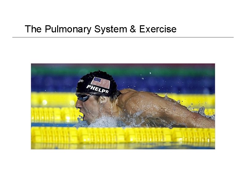 The Pulmonary System & Exercise 