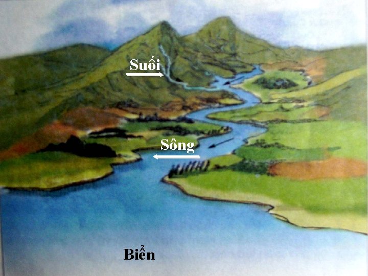 Suối Sông Biển 