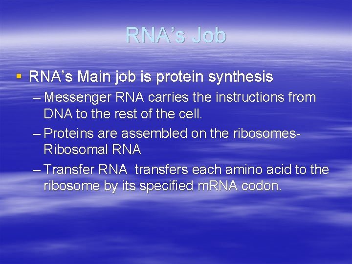 RNA’s Job § RNA’s Main job is protein synthesis – Messenger RNA carries the