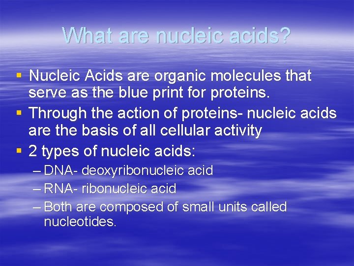 What are nucleic acids? § Nucleic Acids are organic molecules that serve as the