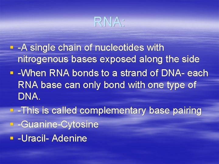 RNA: § -A single chain of nucleotides with nitrogenous bases exposed along the side