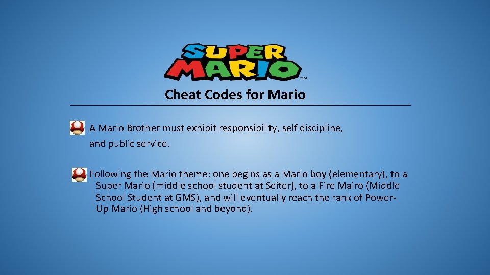Cheat Codes for Mario A Mario Brother must exhibit responsibility, self discipline, and public