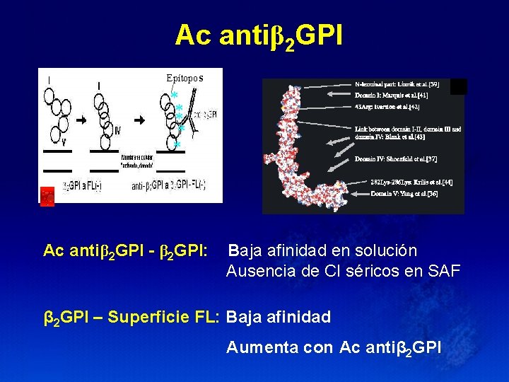 Ac antiβ 2 GPI Epítopos * ** * * Ac antiβ 2 GPI -