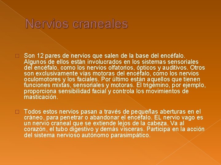 Nervios craneales � Son 12 pares de nervios que salen de la base del Nervios craneales � Son 12 pares de nervios que salen de la base del