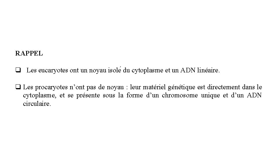 RAPPEL q Les eucaryotes ont un noyau isole du cytoplasme et un ADN linéaire.