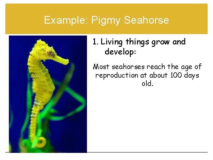 Example: Pigmy Seahorse 1. Living things grow and develop: Most seahorses reach the age