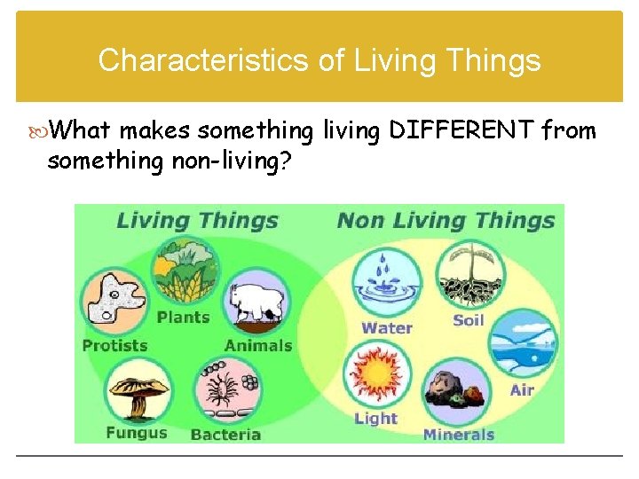 Characteristics of Living Things What makes something living DIFFERENT from something non-living? This clip