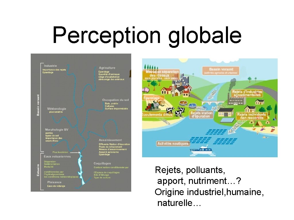 Perception globale Rejets, polluants, apport, nutriment…? Origine industriel, humaine, naturelle… 