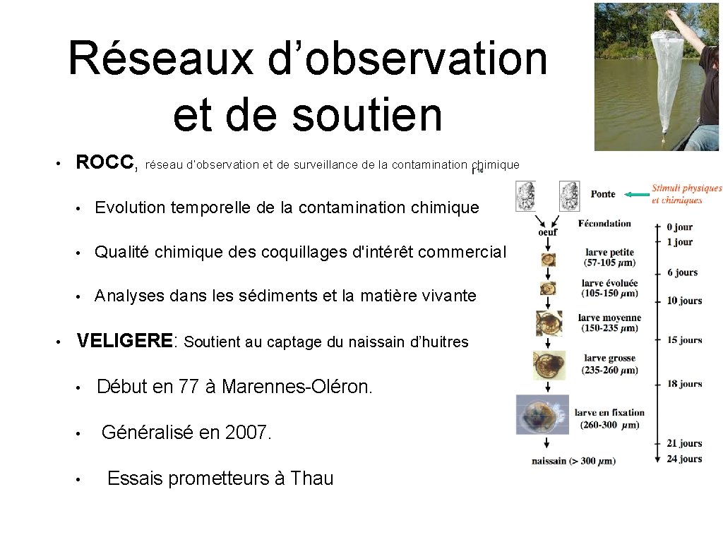 Réseaux d’observation et de soutien • • ROCC, réseau d’observation et de surveillance de