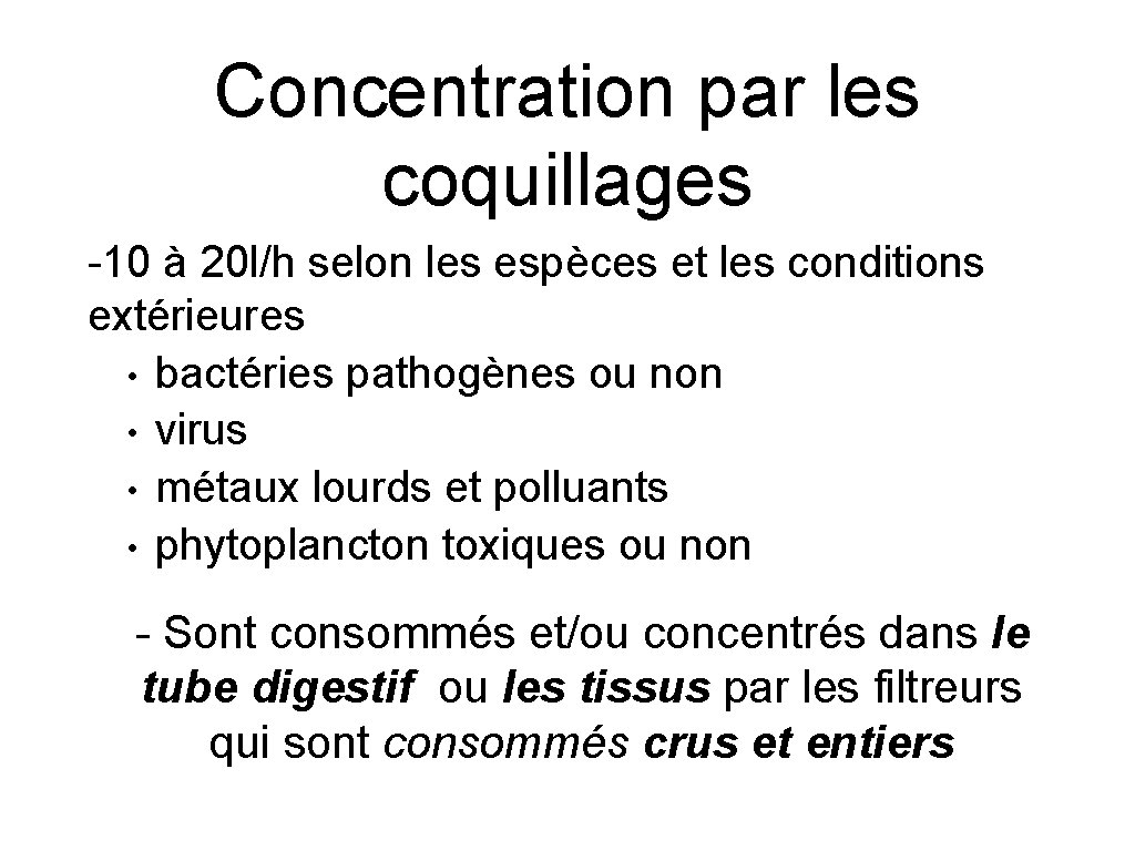 Concentration par les coquillages -10 à 20 l/h selon les espèces et les conditions