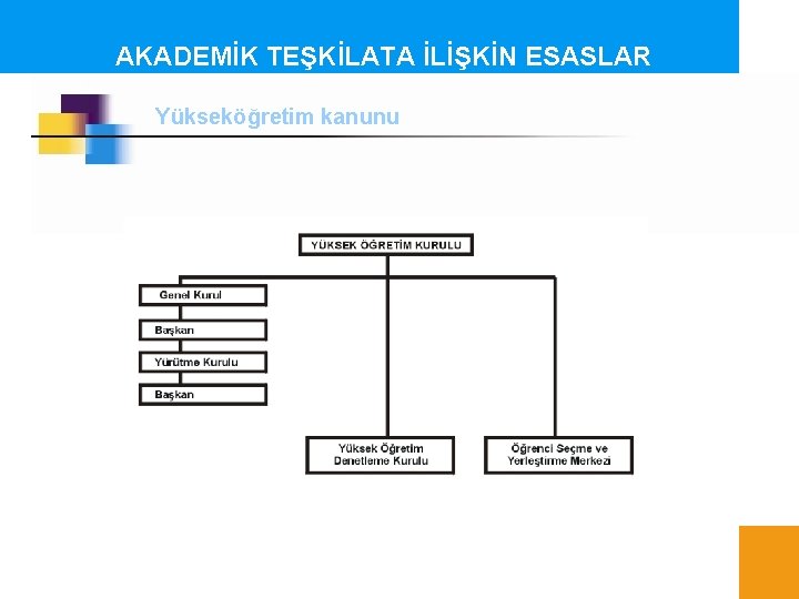 AKADEMİK TEŞKİLATA İLİŞKİN ESASLAR Yükseköğretim kanunu 