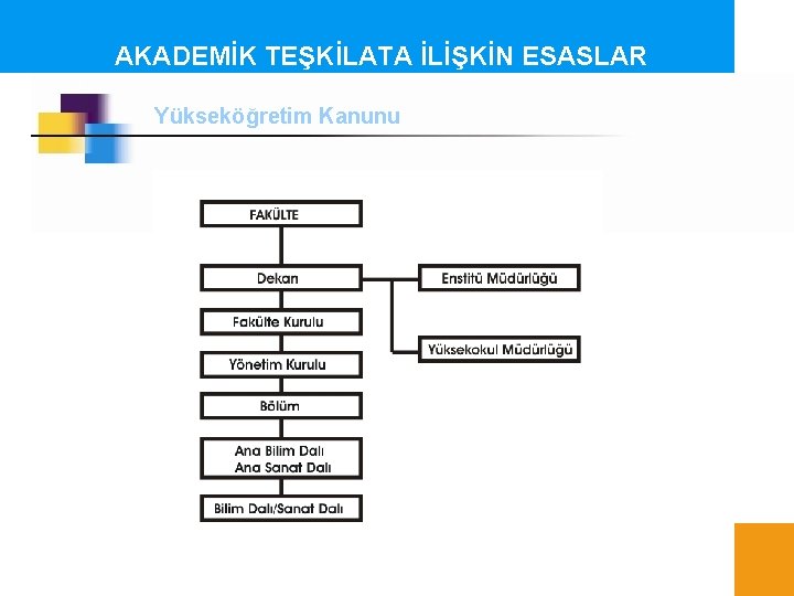 AKADEMİK TEŞKİLATA İLİŞKİN ESASLAR Yükseköğretim Kanunu 