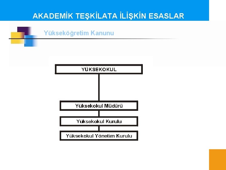 AKADEMİK TEŞKİLATA İLİŞKİN ESASLAR Yükseköğretim Kanunu 