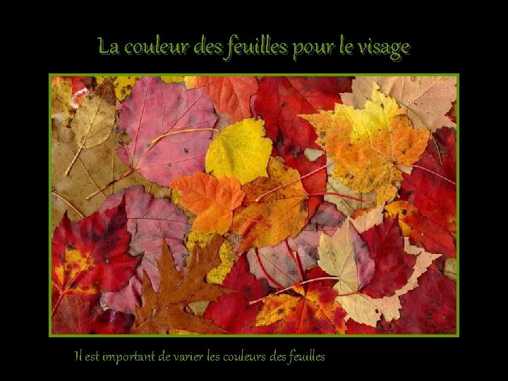 La couleur des feuilles pour le visage Il est important de varier les couleurs