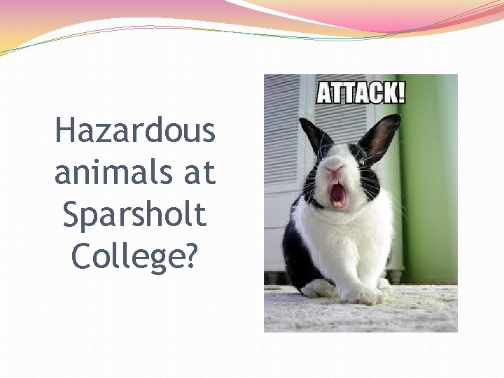 Hazardous animals at Sparsholt College? 