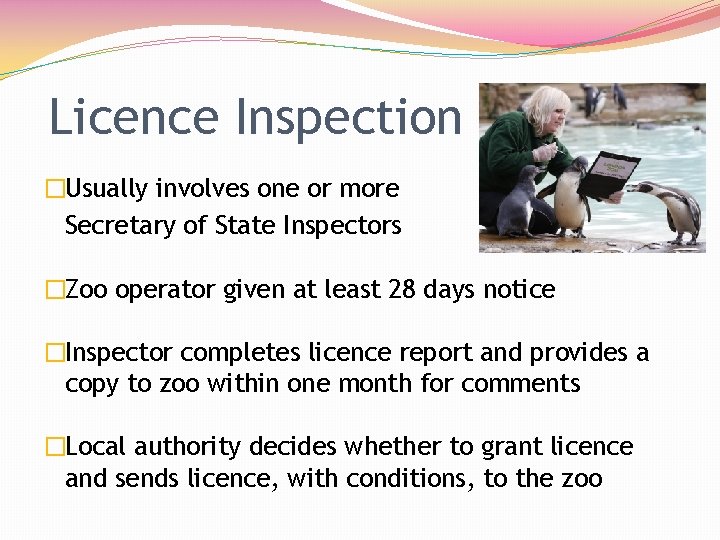 Licence Inspection �Usually involves one or more Secretary of State Inspectors �Zoo operator given