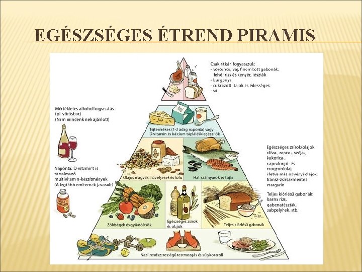 szív egészséges táplálkozás piramis