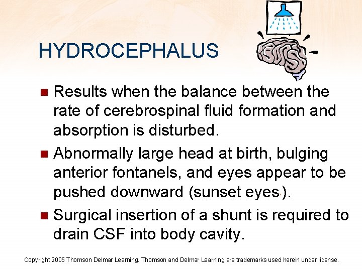 HYDROCEPHALUS Results when the balance between the rate of cerebrospinal fluid formation and absorption