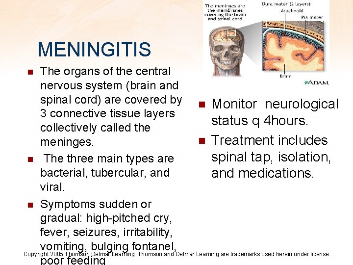 MENINGITIS The organs of the central nervous system (brain and spinal cord) are covered