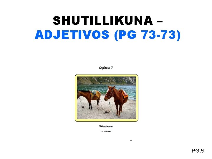 SHUTILLIKUNA – ADJETIVOS (PG 73 -73) PG. 9 