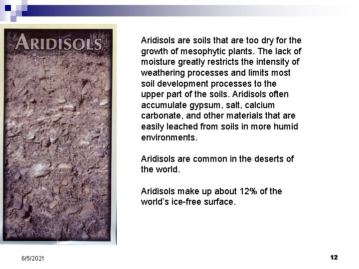 Aridisols are soils that are too dry for the growth of mesophytic plants. The Aridisols are soils that are too dry for the growth of mesophytic plants. The