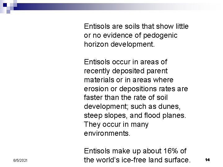 Entisols are soils that show little or no evidence of pedogenic horizon development. Entisols Entisols are soils that show little or no evidence of pedogenic horizon development. Entisols