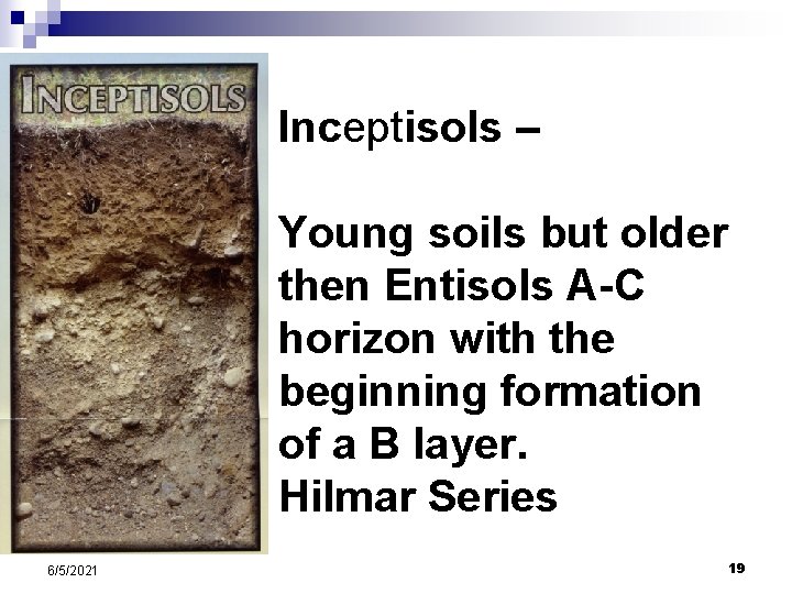 Inceptisols – Young soils but older then Entisols A-C horizon with the beginning formation Inceptisols – Young soils but older then Entisols A-C horizon with the beginning formation