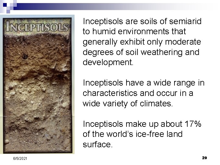 Inceptisols are soils of semiarid to humid environments that generally exhibit only moderate degrees Inceptisols are soils of semiarid to humid environments that generally exhibit only moderate degrees