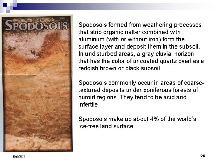 Spodosols formed from weathering processes that strip organic natter combined with aluminum (with or Spodosols formed from weathering processes that strip organic natter combined with aluminum (with or