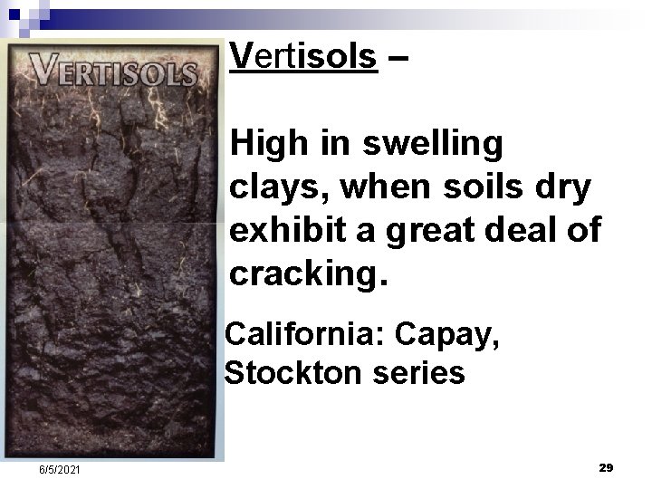 Vertisols – High in swelling clays, when soils dry exhibit a great deal of Vertisols – High in swelling clays, when soils dry exhibit a great deal of