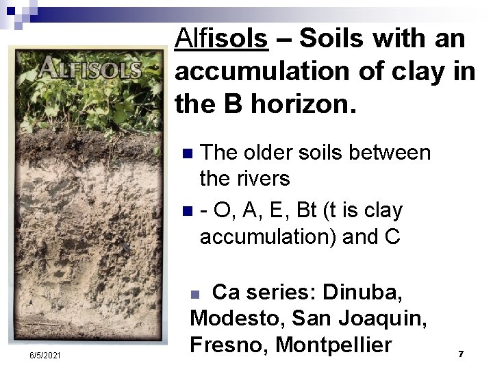 Alfisols – Soils with an accumulation of clay in the B horizon. The older Alfisols – Soils with an accumulation of clay in the B horizon. The older