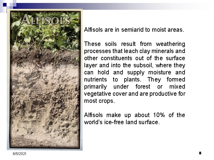 Alfisols are in semiarid to moist areas. These soils result from weathering processes that Alfisols are in semiarid to moist areas. These soils result from weathering processes that