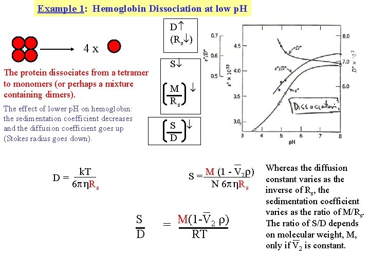 Example 1: Hemoglobin Dissociation at low p. H D (Rs ) 4 x The Example 1: Hemoglobin Dissociation at low p. H D (Rs ) 4 x The