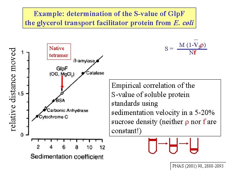 relative distance moved Example: determination of the S-value of Glp. F the glycerol transport relative distance moved Example: determination of the S-value of Glp. F the glycerol transport