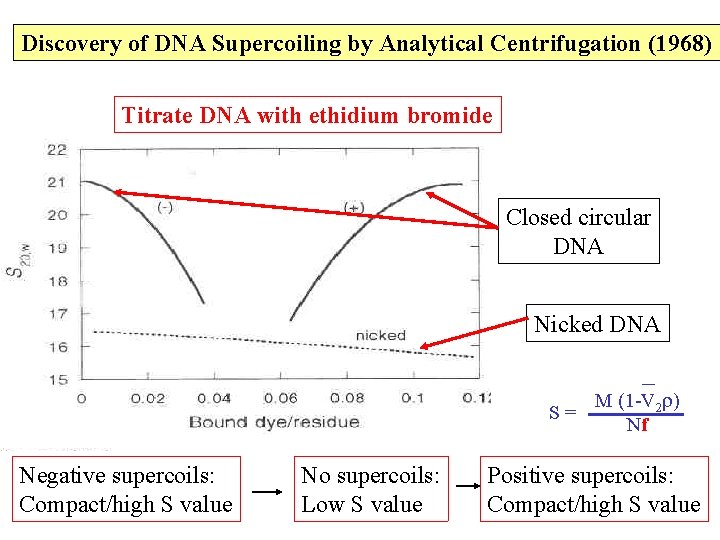 Discovery of DNA Supercoiling by Analytical Centrifugation (1968) Titrate DNA with ethidium bromide Closed Discovery of DNA Supercoiling by Analytical Centrifugation (1968) Titrate DNA with ethidium bromide Closed