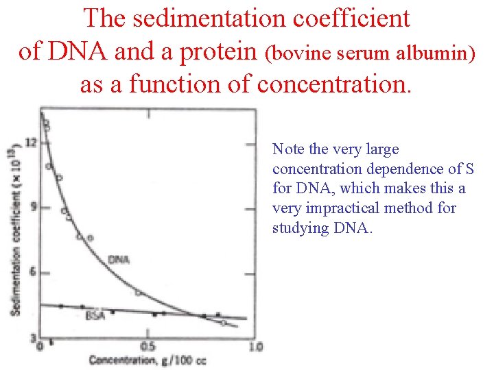 The sedimentation coefficient of DNA and a protein (bovine serum albumin) as a function The sedimentation coefficient of DNA and a protein (bovine serum albumin) as a function
