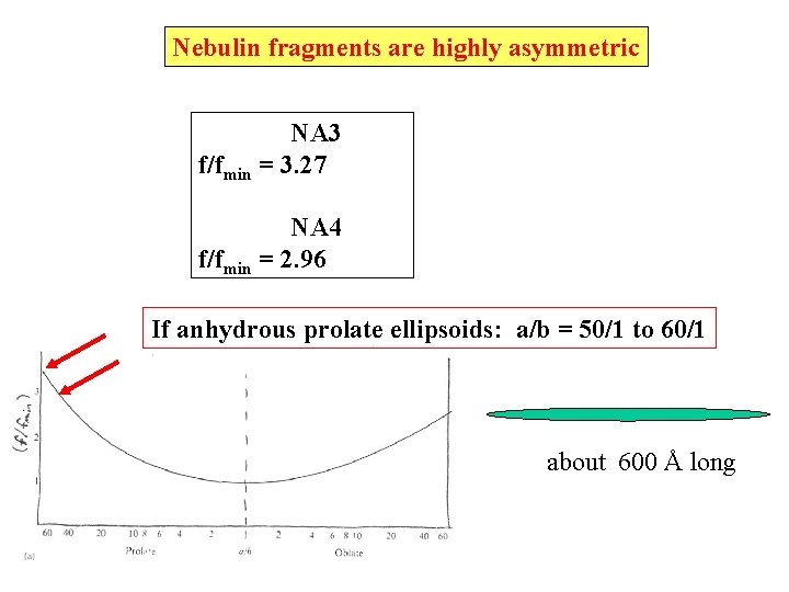 Nebulin fragments are highly asymmetric NA 3 f/fmin = 3. 27 NA 4 f/fmin Nebulin fragments are highly asymmetric NA 3 f/fmin = 3. 27 NA 4 f/fmin