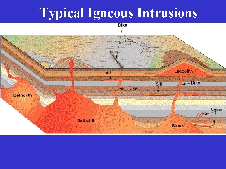 Typical Igneous Intrusions 