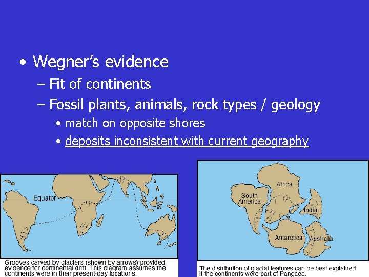  • Wegner’s evidence – Fit of continents – Fossil plants, animals, rock types