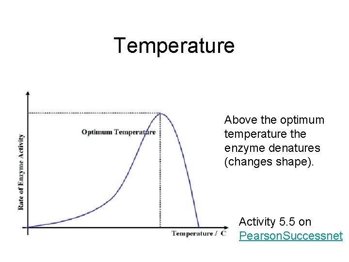 Temperature Above the optimum temperature the enzyme denatures (changes shape). Activity 5. 5 on