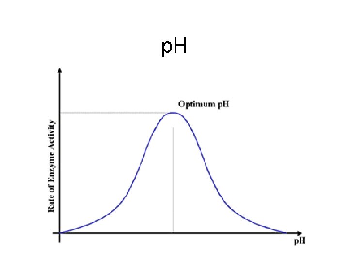 p. H 