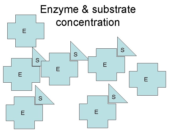 Enzyme & substrate concentration E S S S E E 