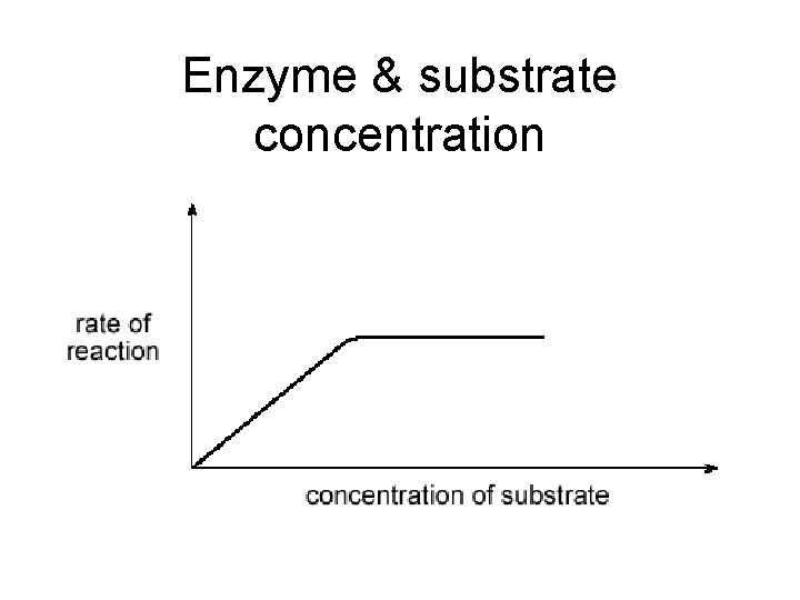 Enzyme & substrate concentration 