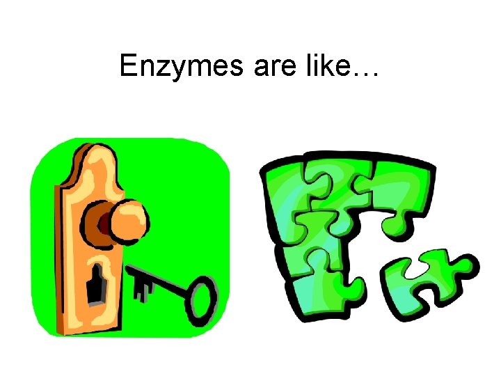 Enzymes are like… 